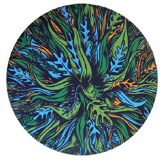 Waboba Frisbee Wingman, aus Silikon, zusammenfaltbar, Ø 15 cm